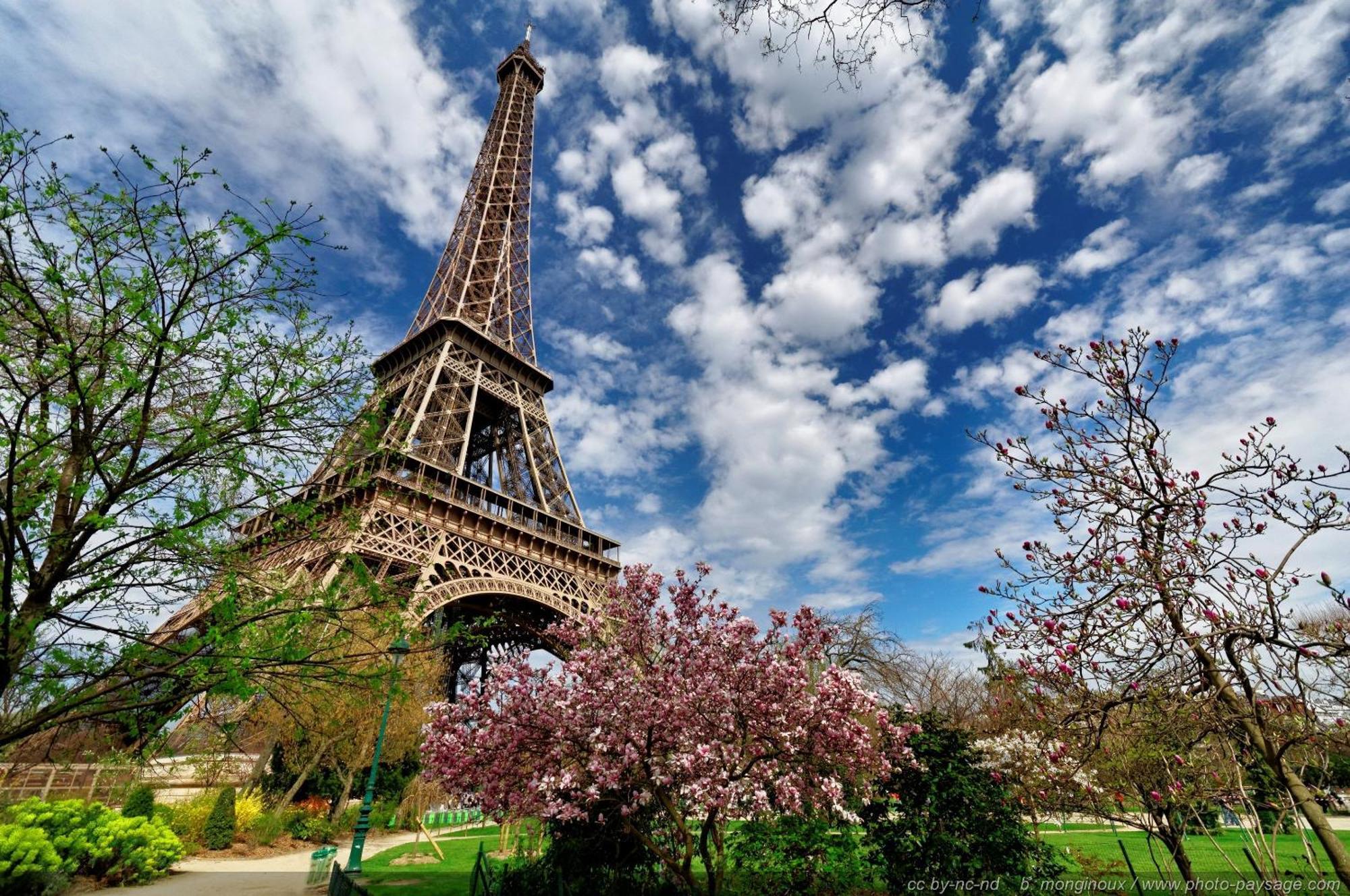 Near Invalides Unesco Eiffel Tower Montparnasse * Paris
